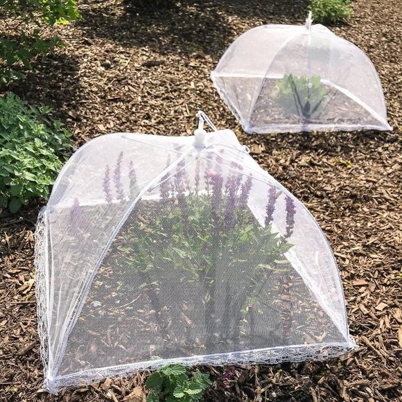 Simply Genius 6 Pack Pop-Up Mesh Food Covers - 17"x17" - White - NEW - Picture 1 of 4